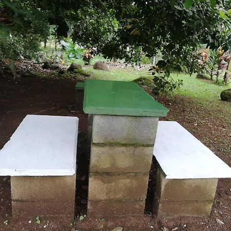 Paraiso Verde Siqurres Da Alegria المظهر الخارجي الصورة