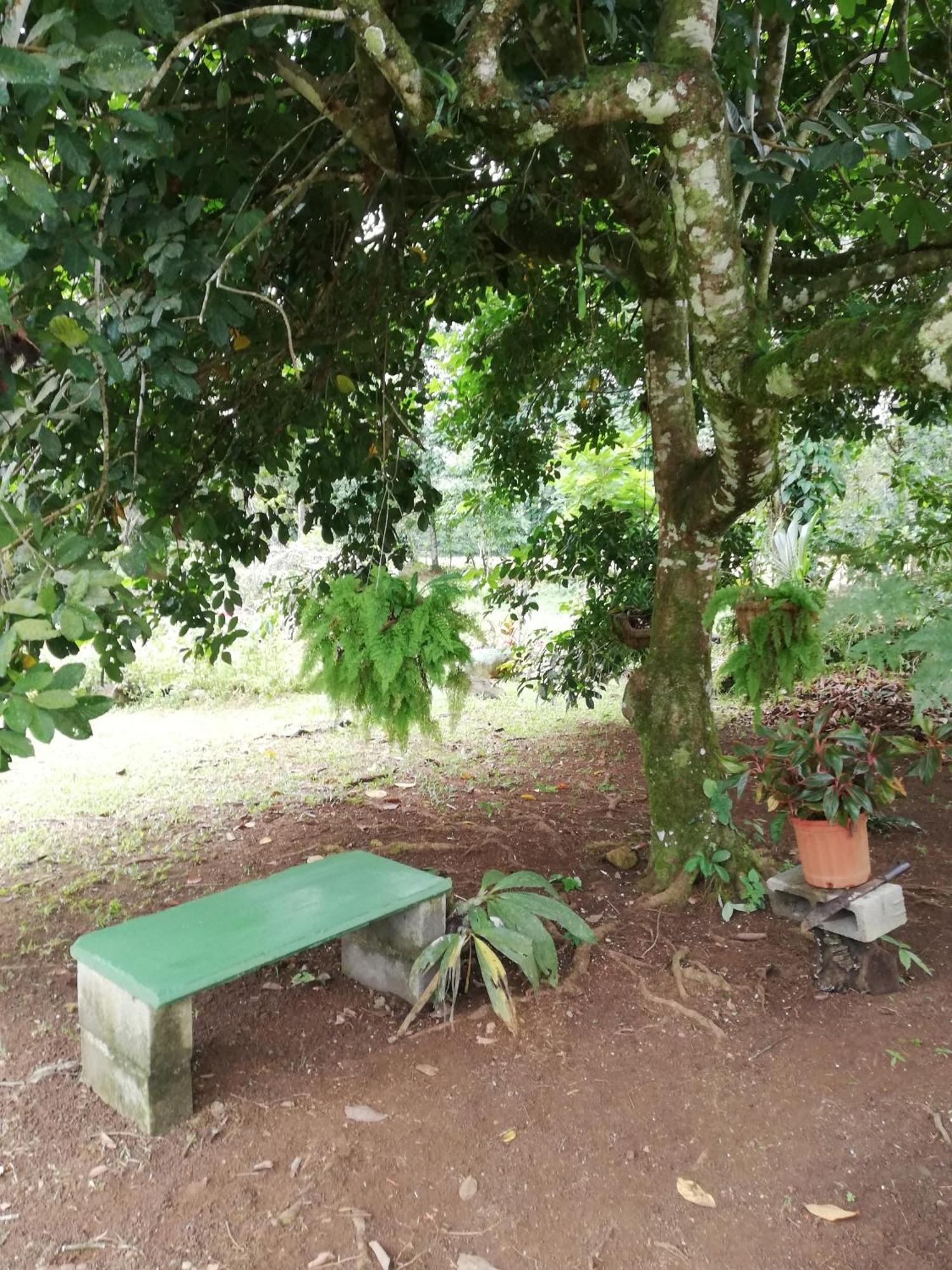 Paraiso Verde Siqurres Da Alegria المظهر الخارجي الصورة