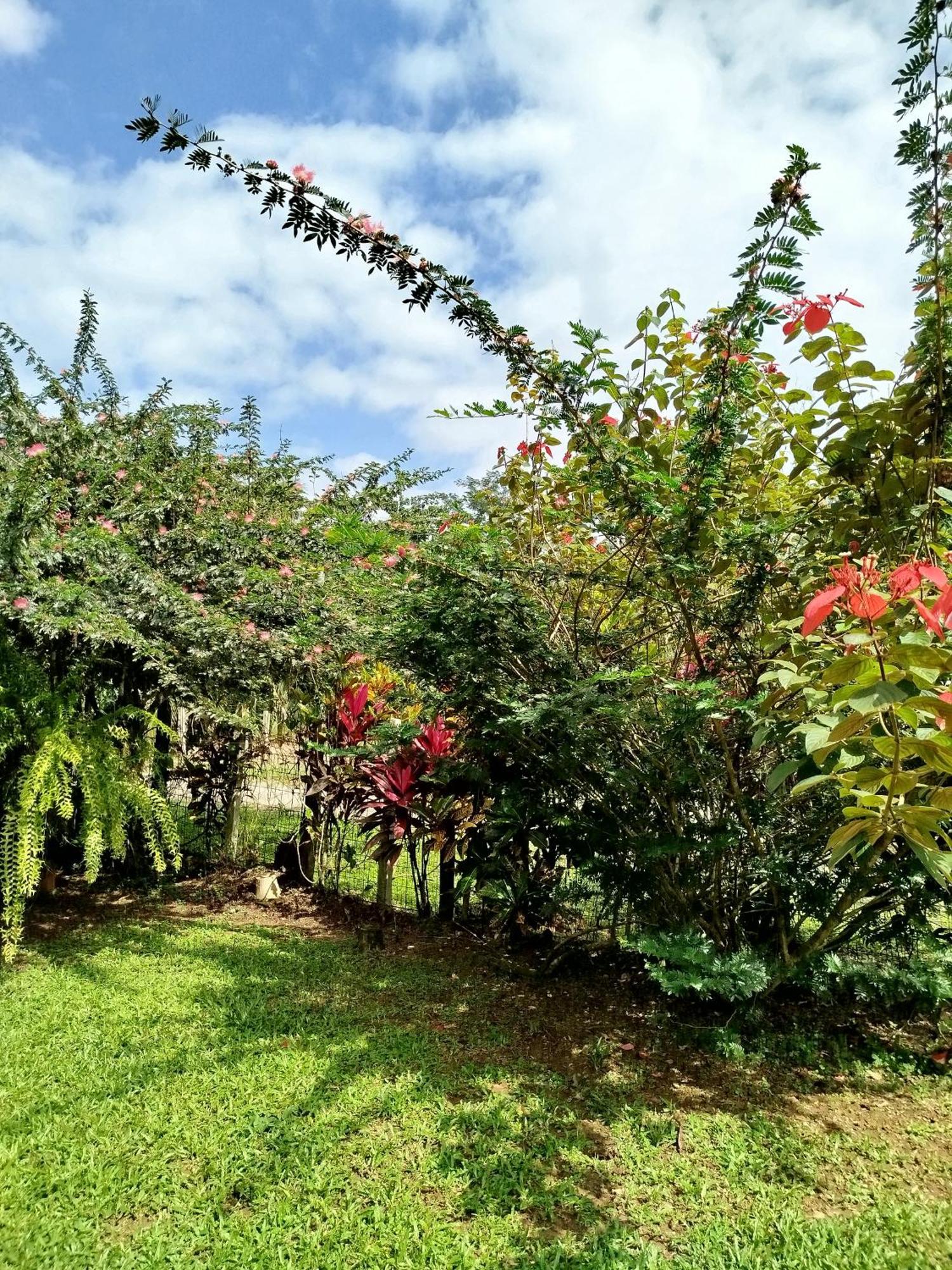 Paraiso Verde Siqurres Da Alegria الغرفة الصورة