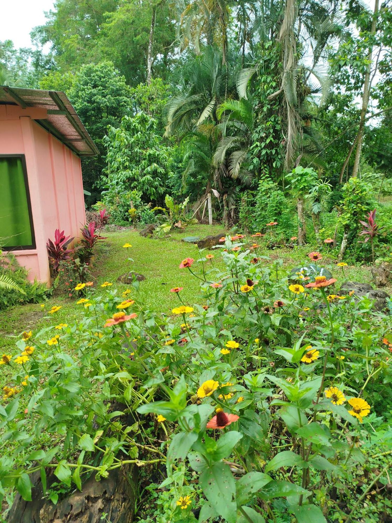 Paraiso Verde Siqurres Da Alegria الغرفة الصورة